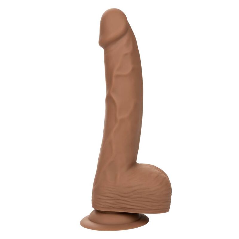 CALEXOTICS - SILICONE STUDS 20.32 CM BROWN